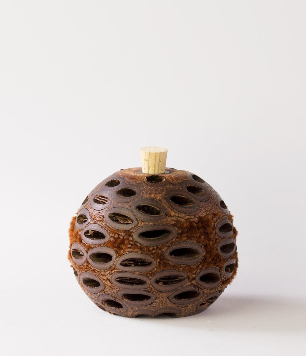 Banksia Pod Mini Aroma