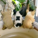 Frenchie Pot Sitters Assorted