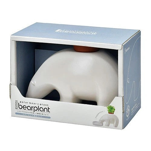 Polar Bear Planter