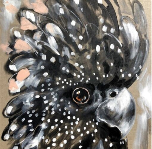 Black Galah Coaster