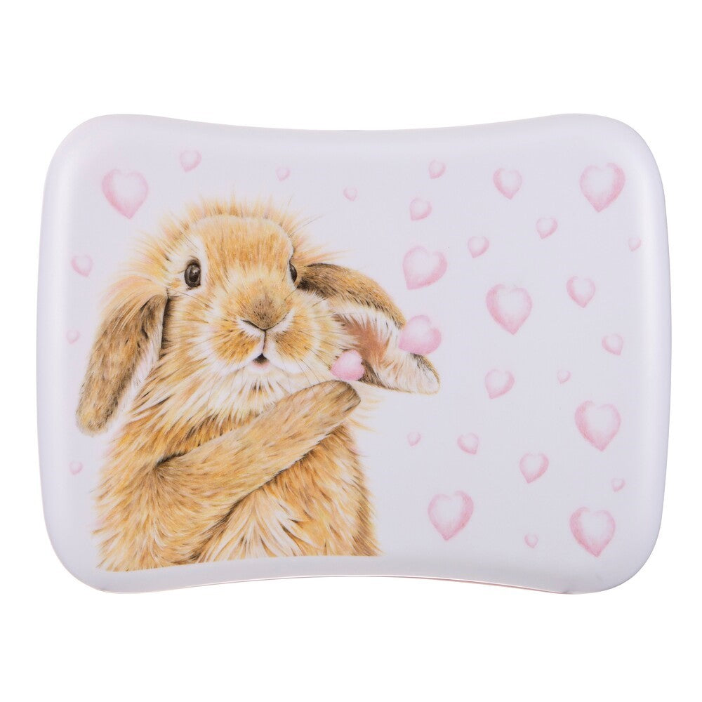 Bunny Hearts Lunch Box