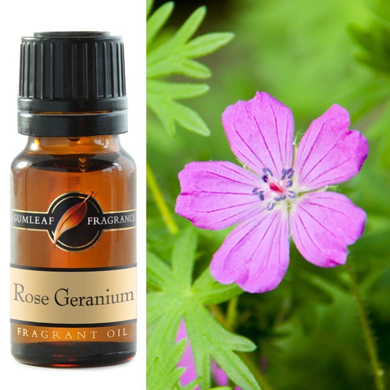 Gumleaf Fragrance Oil - Rose Geranium
