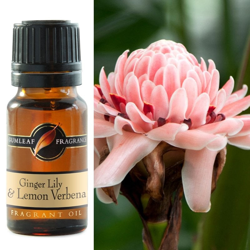 Gumleaf Fragrance Oil - Ginger Lily & Lemon