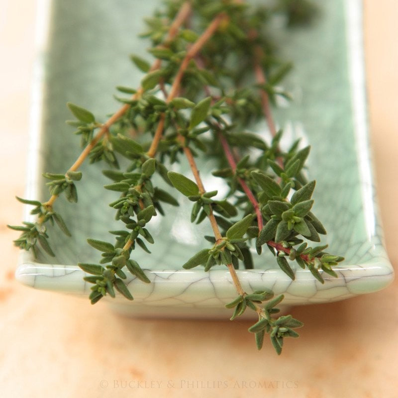 Essential Oil - Thyme (wild)