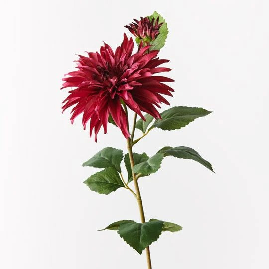 Dahlia Spray - Fuschia 74cml X 20 Cmd