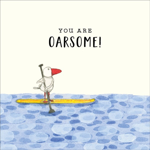 Twigseeds All Occasions Seagull Card Set