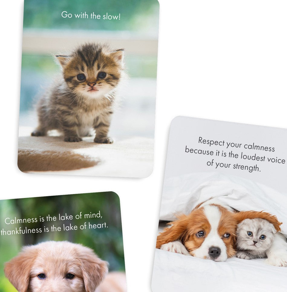 Affirmation Cards- Little Paws
