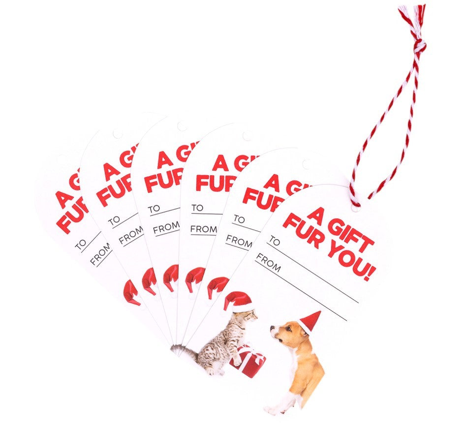 Christmas Fur You Set Of 6 Gift Tags