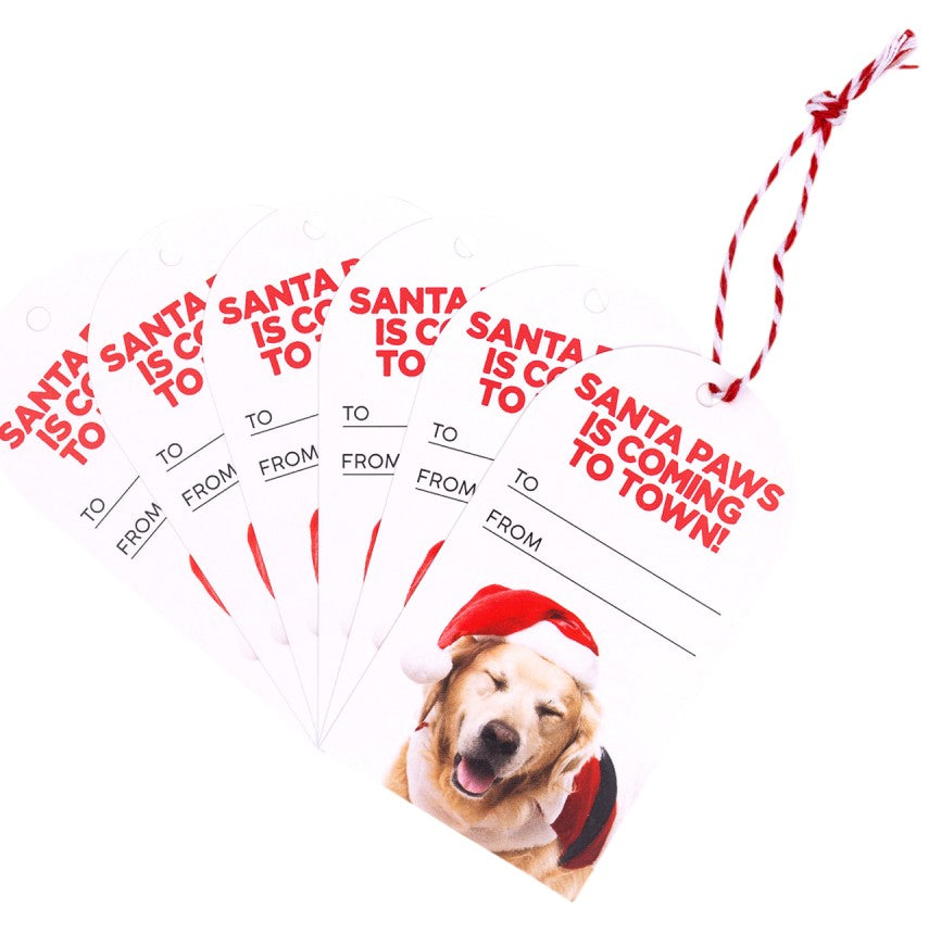 Christmas Coming To Town Set Of 6 Gift Tags
