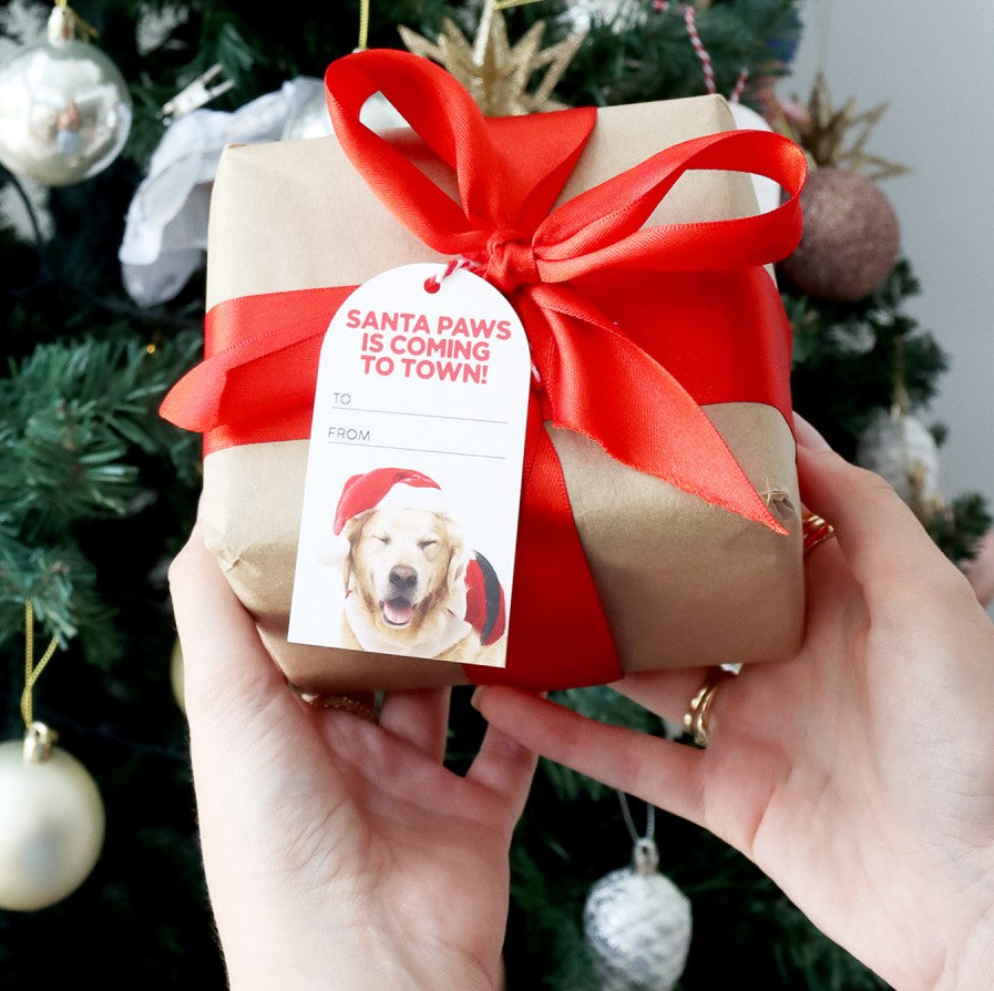 Christmas Coming To Town Set Of 6 Gift Tags