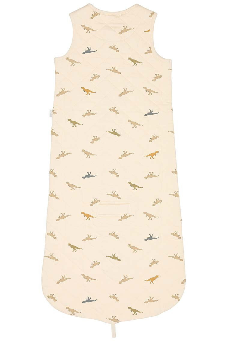 Sleep Bag Sleeveless Dinosauria 3-12m