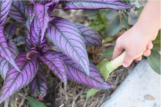 Garden Belt With Tools & Name Tag