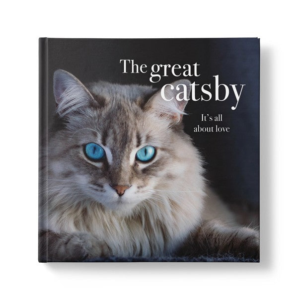 The Great Catsby - It's All About Love