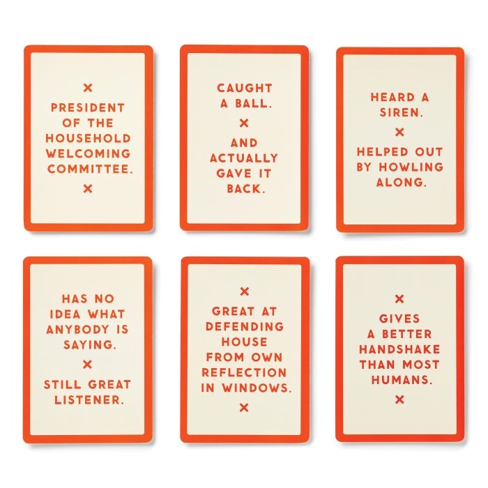 Because This Dog Is Embarrassing- Pet Shame/praise Deck (cards)