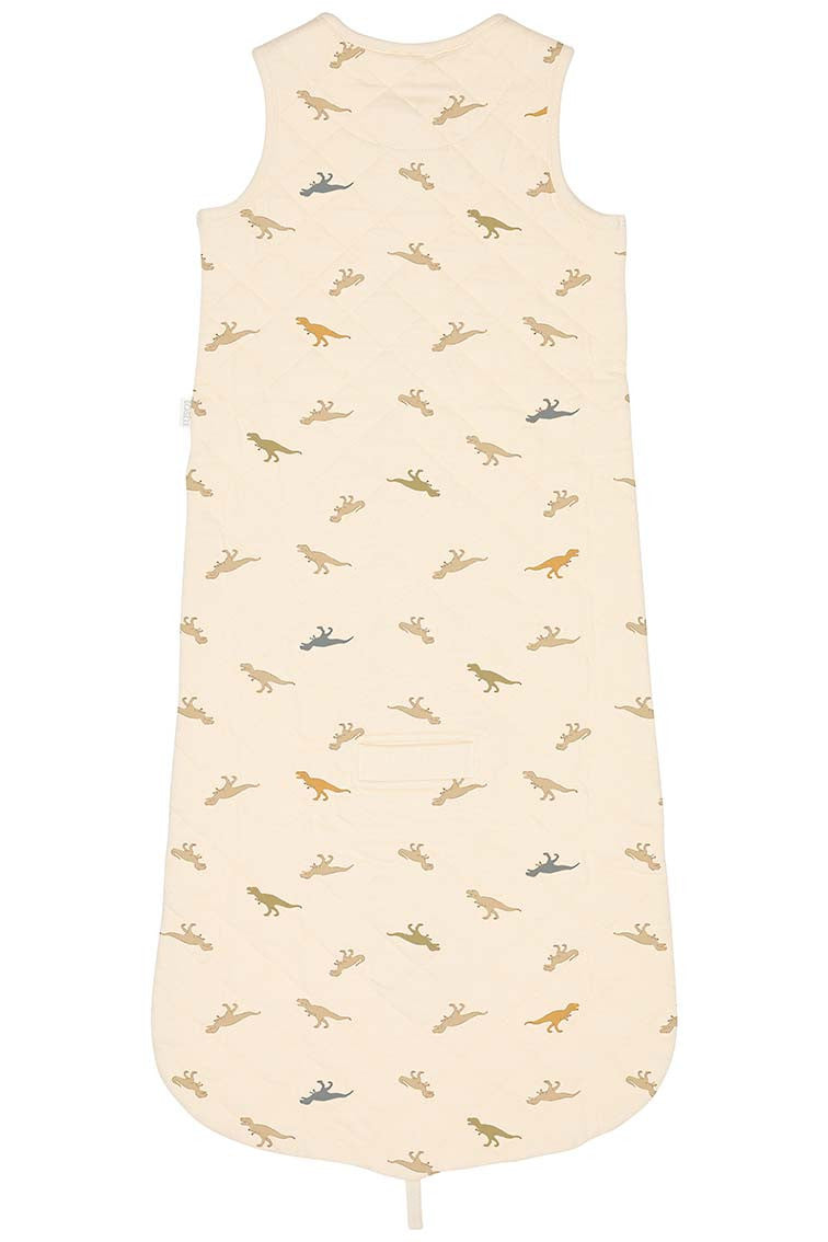 Sleep Bag Sleeveless Dinosauria 3-12m