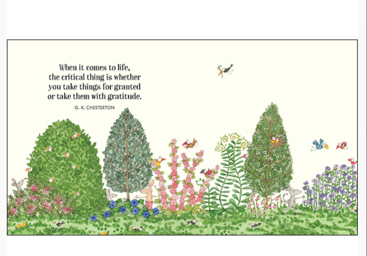 A Little Book Of Gratitude (twigseed)