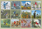 Songbirds Wall Calendar Legacy