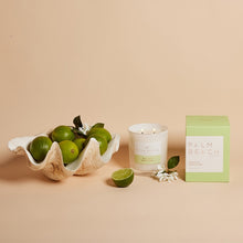 Load image into Gallery viewer, Palm Beach Jasmine &amp; Lime Standard Soy Candle
