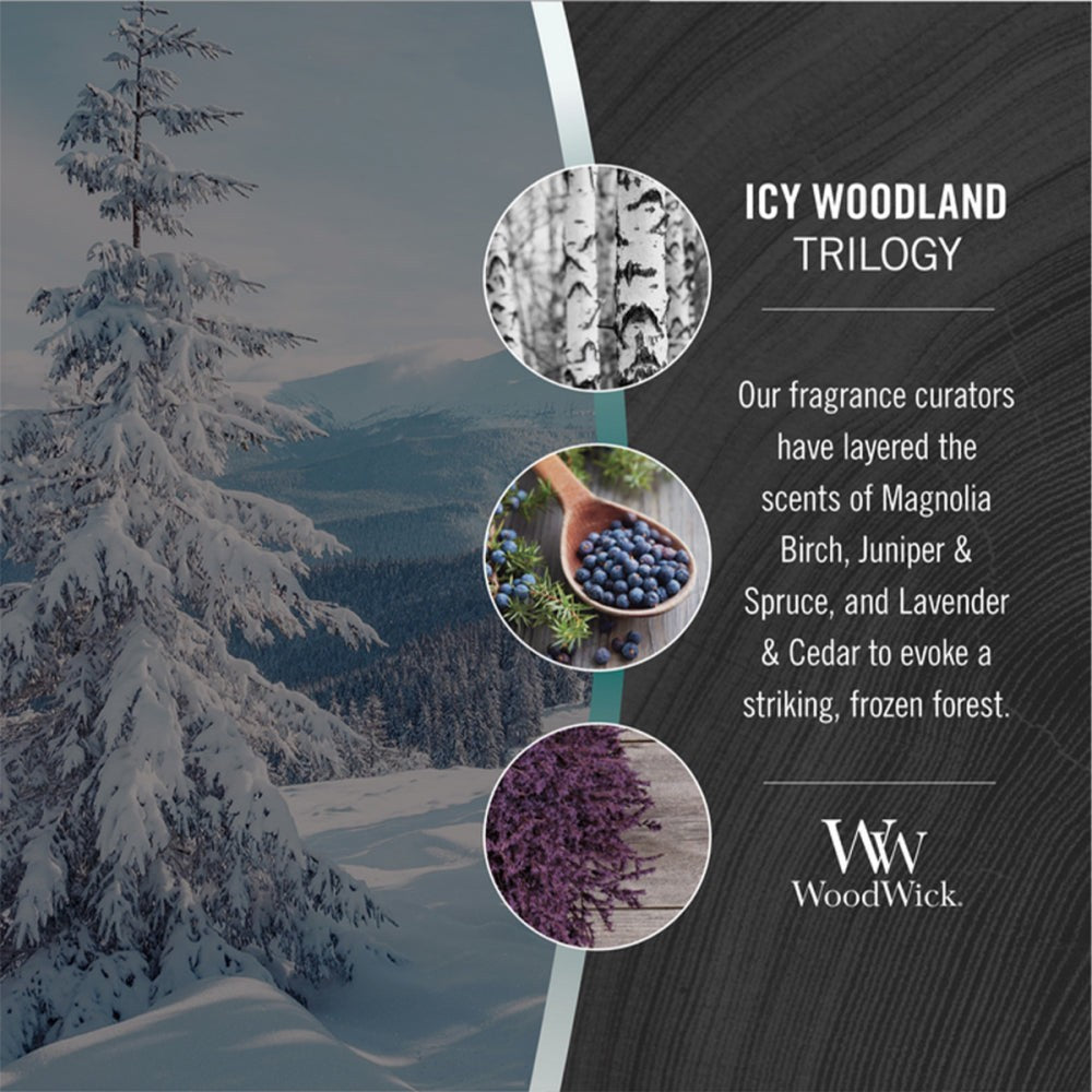 Magnolia Birch Juniper & Spruce Lavender & Cedar Woodwick Large Candle