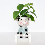 Sitting Cow Planter White And Sage 14cm 