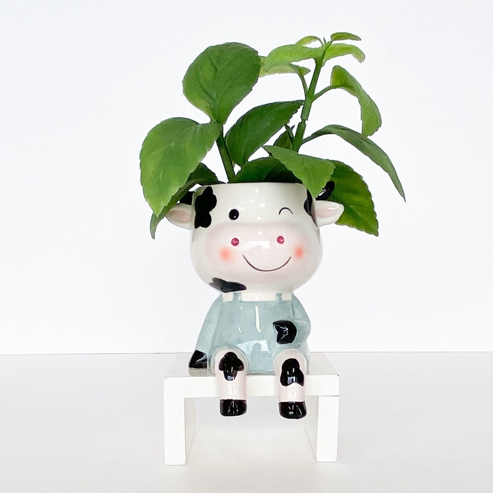 Sitting Cow Planter White And Sage 14cm 