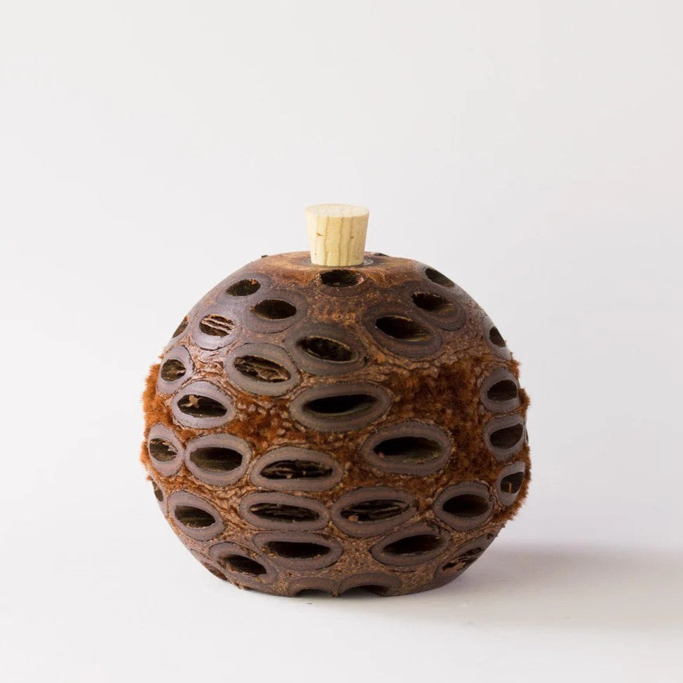 Banksia Pod Medium Aroma