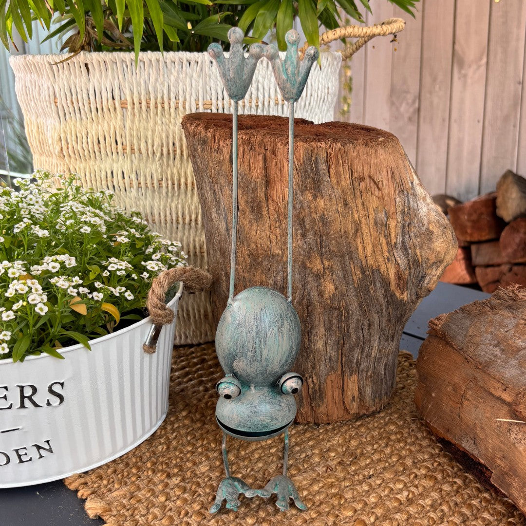 Frog Doing A Handstand 