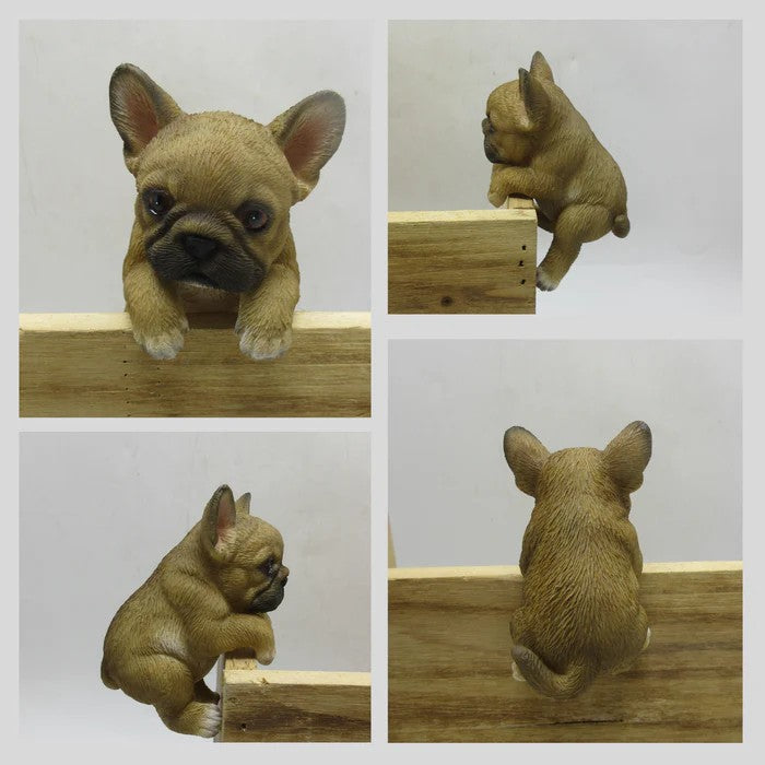 Frenchie Pot Sitters Assorted 