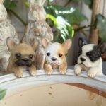 Frenchie Pot Sitters Assorted 