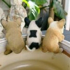 Frenchie Pot Sitters Assorted 