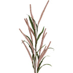 Twiggy Stardust 88cm Pink 