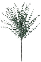 Eucalptus Branch Green 70cm 