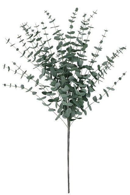 Eucalptus Branch Green 70cm 
