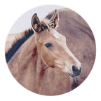 Rustic Meadow Coaster - Foal 