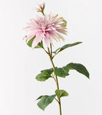 Dahlia Spray