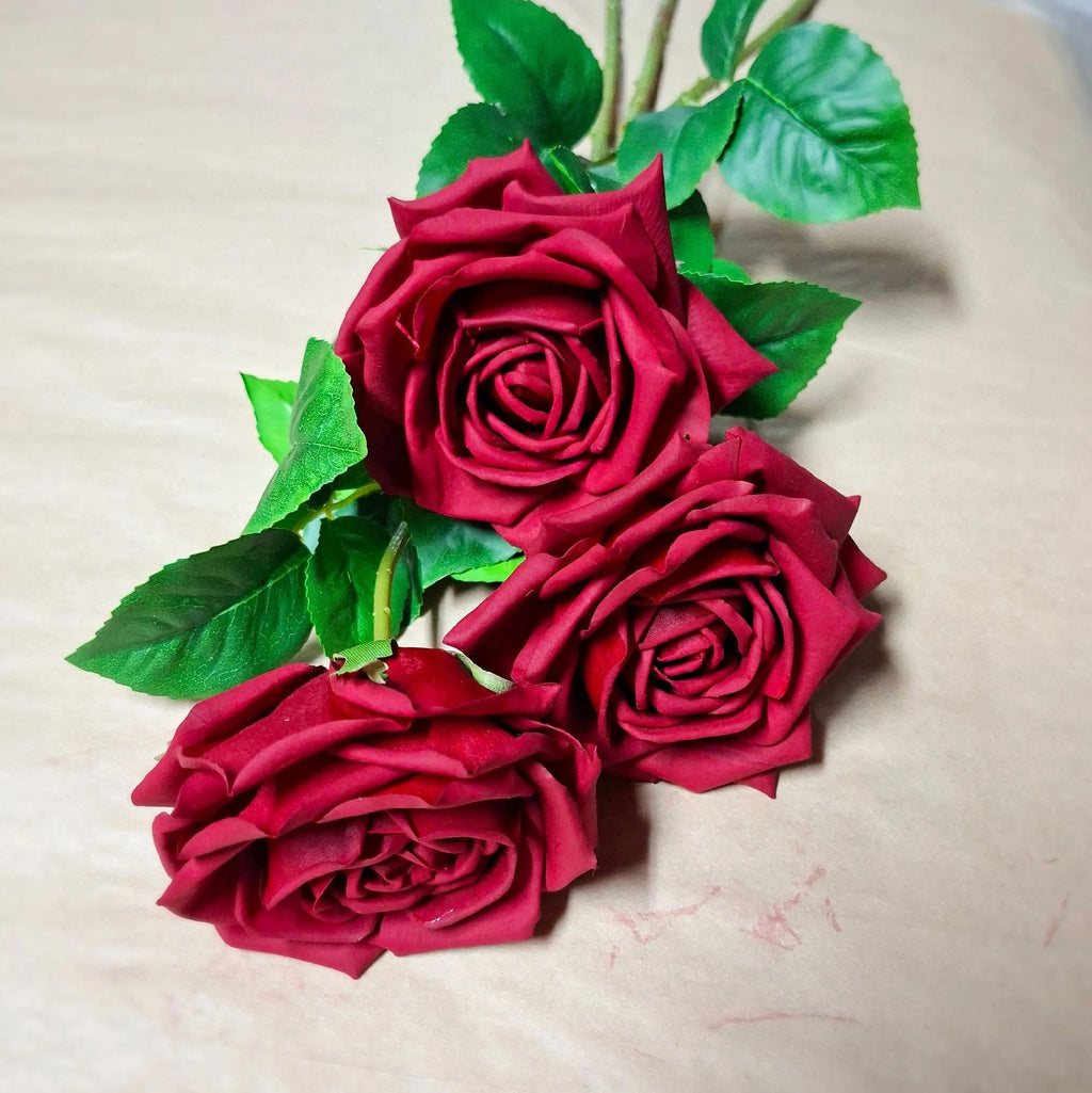 Rose Clara