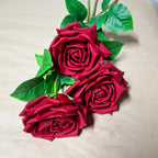 Rose Clara