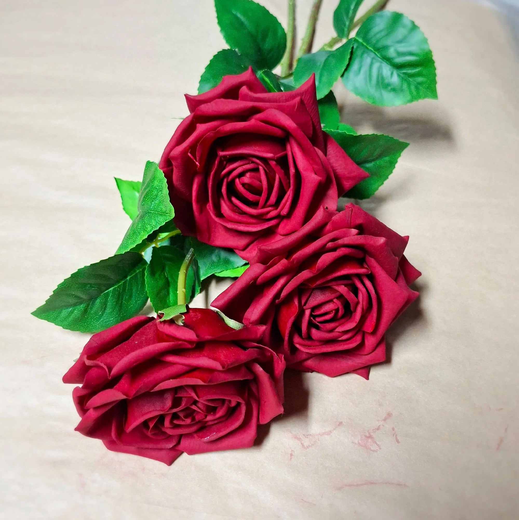 Rose Clara