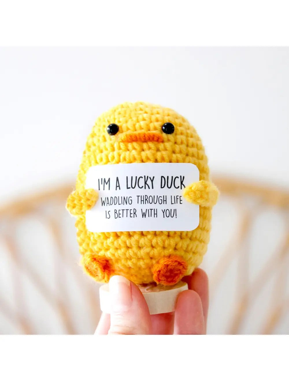Positive Pals Assortment [des:duck]