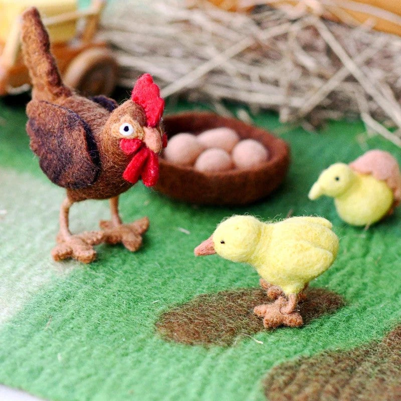 The Chicken Lifecycle