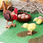 The Chicken Lifecycle
