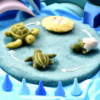 The Turtle Lifecycle