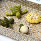 The Turtle Lifecycle