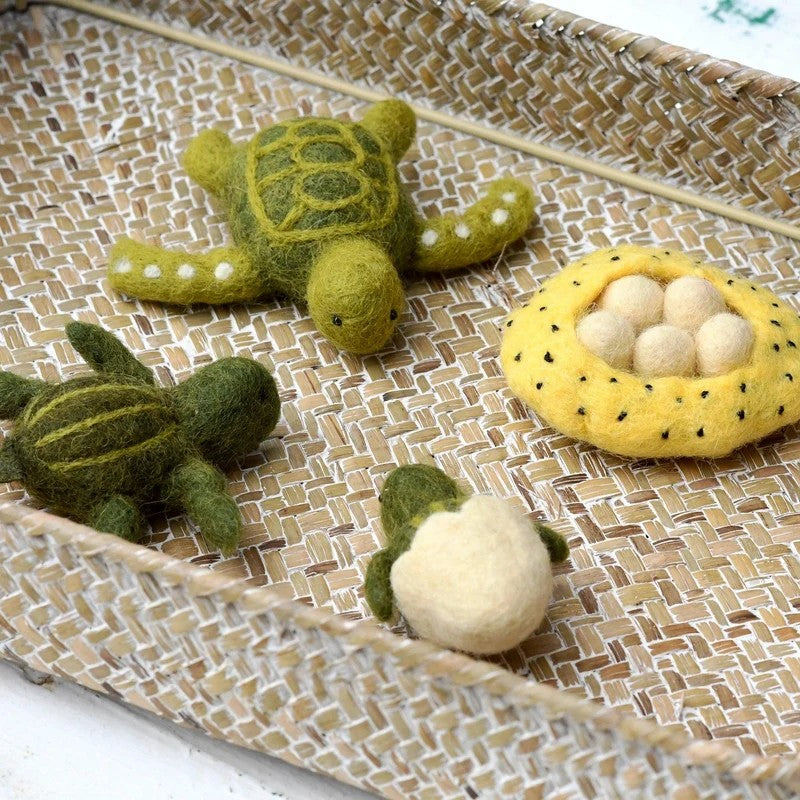 The Turtle Lifecycle