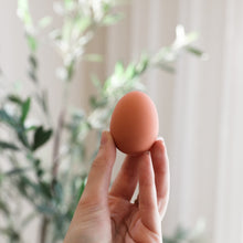 Load image into Gallery viewer, Out Of The Blue - Bouncing Egg
