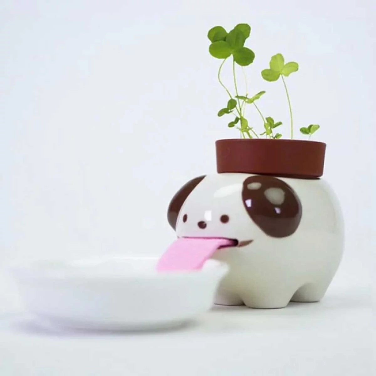 Licking Animal Plant Cultivation Kit [sty:dog]