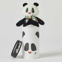 Load image into Gallery viewer, Big Simply Rototos The Panda In Box
