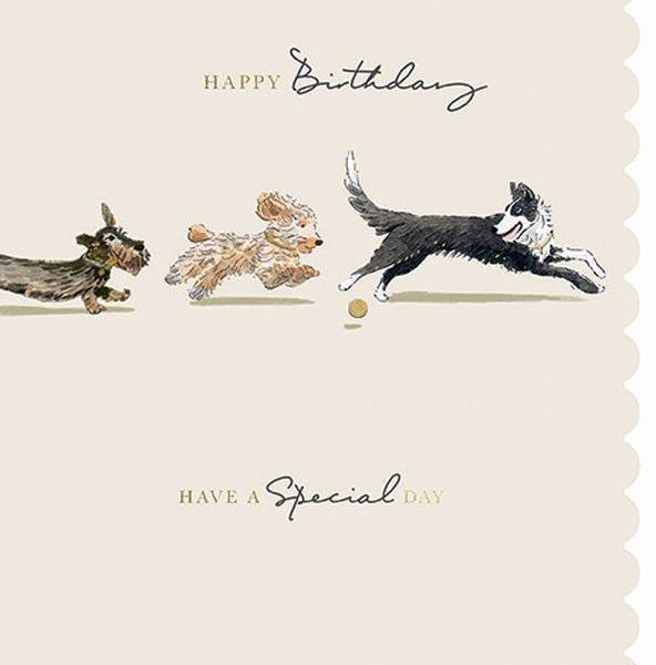 Card - Special Day Dog
