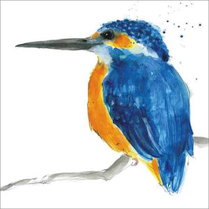 Card- Kingfisher 