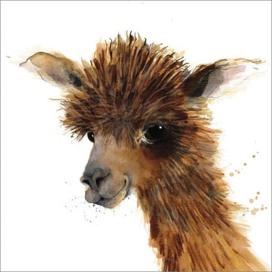 Card- Alpaca 